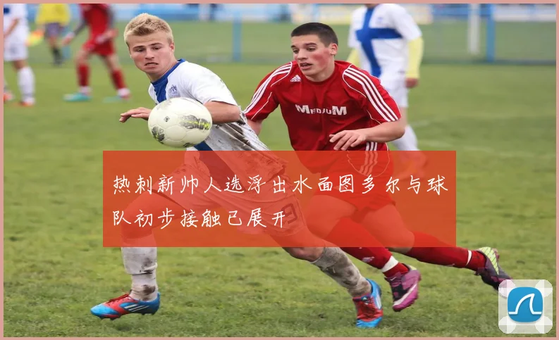 热刺新帅人选浮出水面图多尔与球队初步接触已展开